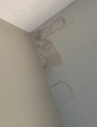 Ceiling Damage