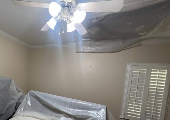 Ceiling Damage